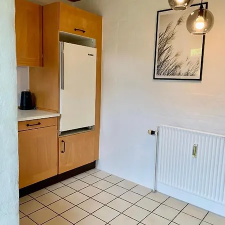 15 Min Walk To Lego House/50m2 With Garden